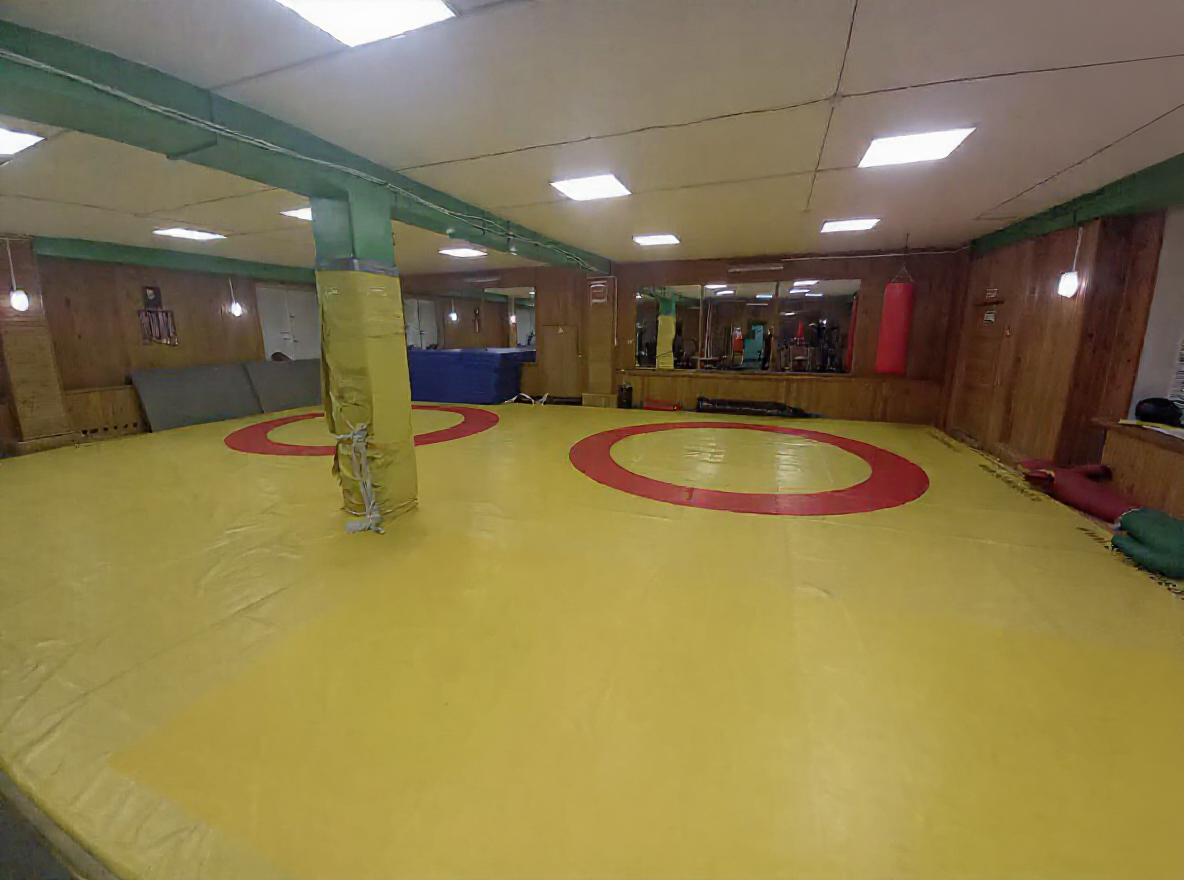 буревестник