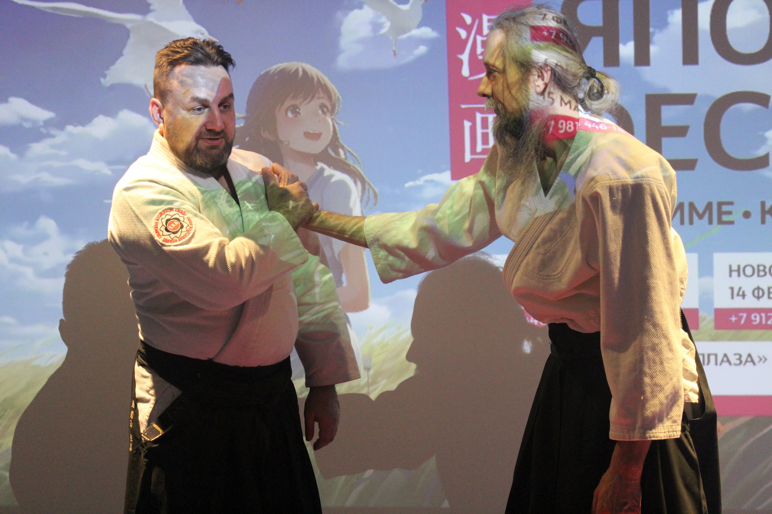 Показательные выступления на фестивале «Япония.Фест»